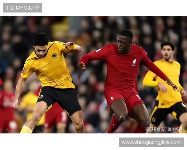 狼队坚韧，新赛季能否再上层楼？